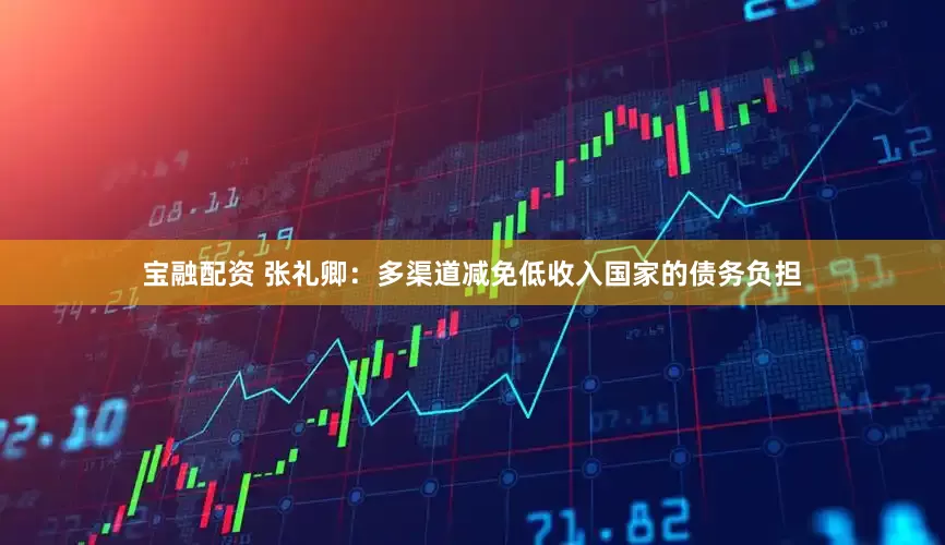 宝融配资 张礼卿：多渠道减免低收入国家的债务负担