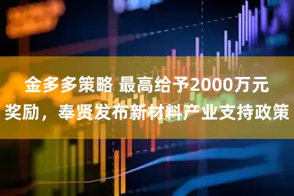 金多多策略 最高给予2000万元奖励，奉贤发布新材料产业支持政策
