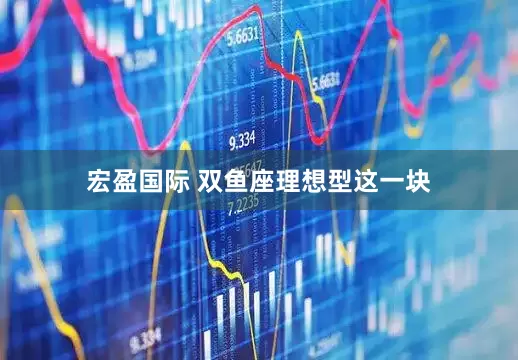 宏盈国际 双鱼座理想型这一块
