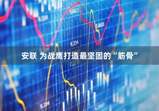 安联 为战鹰打造最坚固的“筋骨”