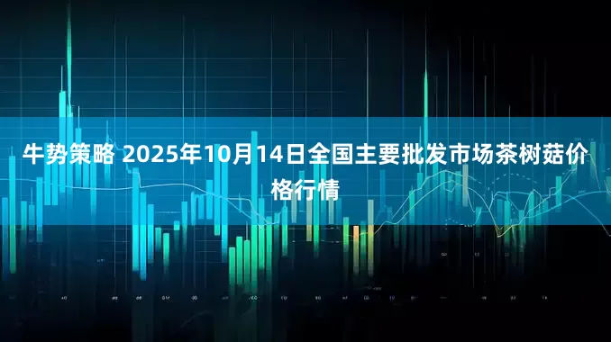 牛势策略 2025年10月14日全国主要批发市场茶树菇价格行情