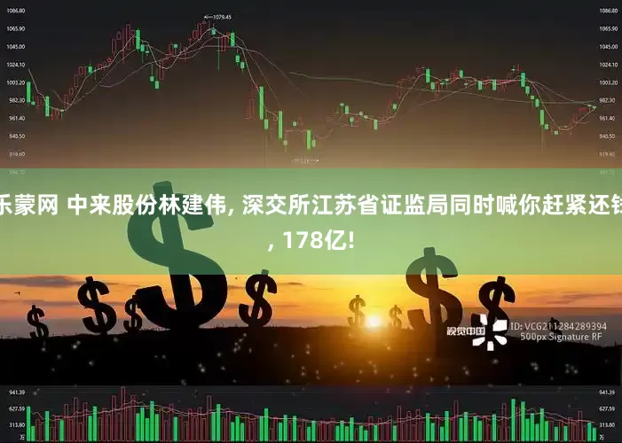 乐蒙网 中来股份林建伟, 深交所江苏省证监局同时喊你赶紧还钱, 178亿!