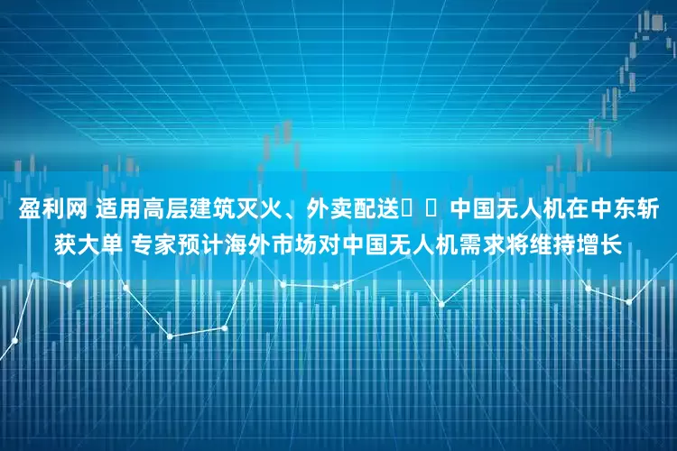 盈利网 适用高层建筑灭火、外卖配送⋯⋯中国无人机在中东斩获大单 专家预计海外市场对中国无人机需求将维持增长