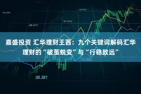 嘉盛投资 汇华理财王茜：九个关键词解码汇华理财的“破茧蜕变”与“行稳致远”