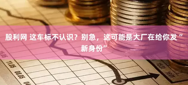 股利网 这车标不认识？别急，这可能是大厂在给你发“新身份”